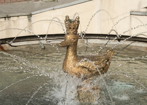 The Golden Duck on Tamka